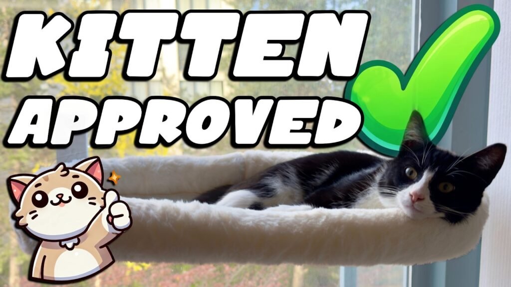 Cat Window Perch Review: A Cosy Spot for Bird Watching and Naps